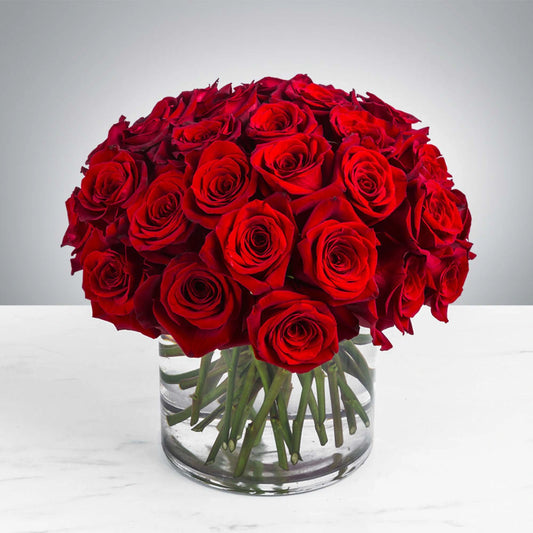 Three Dozen Ecuadorian Red Roses